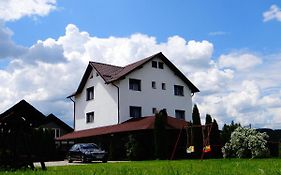 Pensiunea Lacul Albesti Guest House